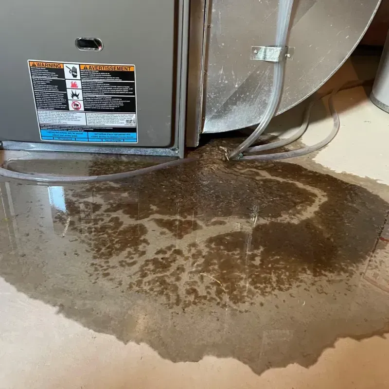 Appliance Leak Cleanup in Cedar Mill, OR